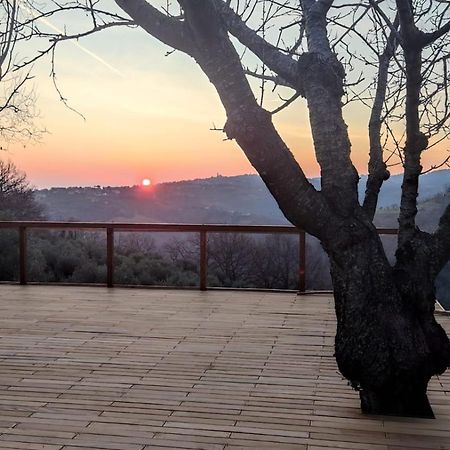 Bed and Breakfast CARA PACE in collina per famiglie Montefiore Conca Esterno foto