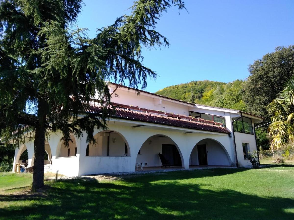Bed and Breakfast CARA PACE in collina per famiglie Montefiore Conca Esterno foto