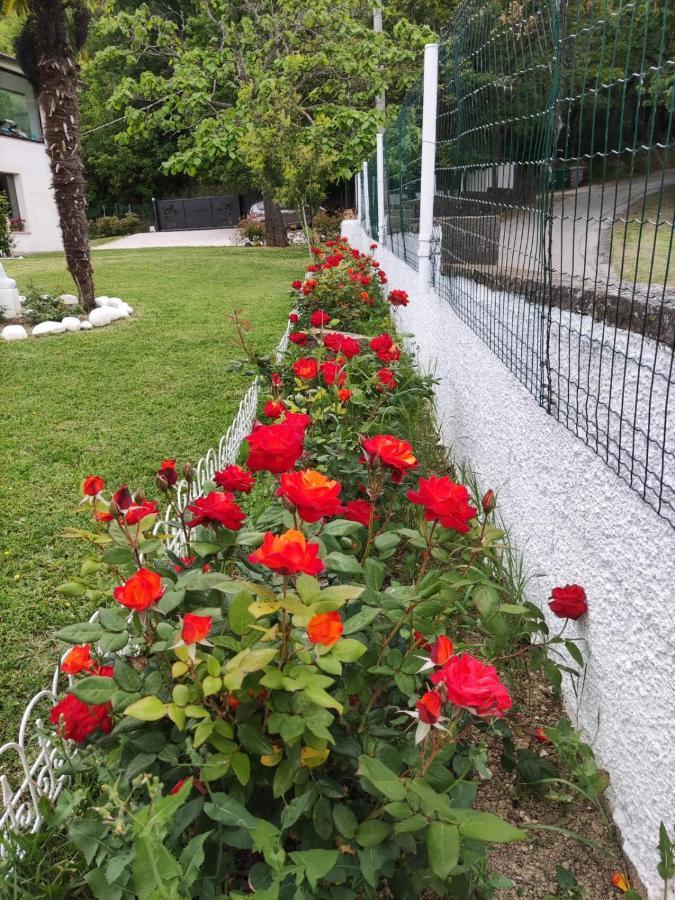 Bed and Breakfast CARA PACE in collina per famiglie Montefiore Conca Esterno foto